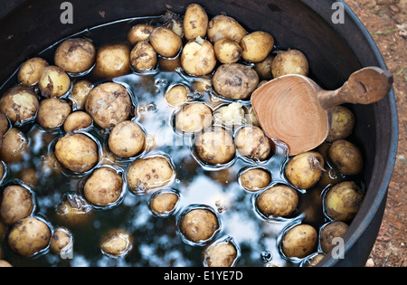 Les pommes de terre fraîches cuites sur feu ouvert dans une ancienne ferme. Banque D'Images