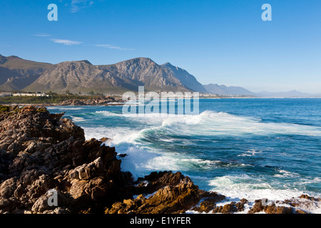 Walker Bay Nature Reserve, près de Hermanus, Western Cape, Afrique du Sud, l'Océan Indien Banque D'Images