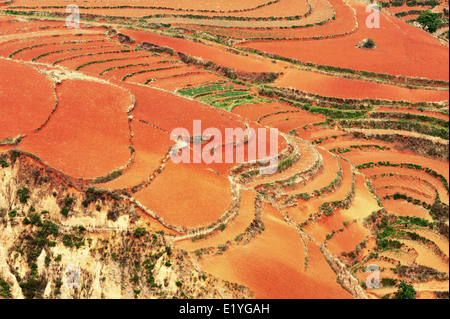 Champ rouge à Dongchuan Kunming city, district, province du Yunnan, Chine Banque D'Images