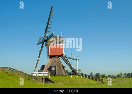 Grosmolen, un moulin ou post creux en néerlandais appelé ''wipmolen'', situé dans la région de Hoogmade, Hollande méridionale, Pays-Bas. Banque D'Images