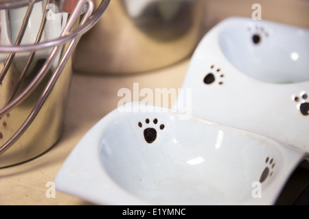 Animal de l'eau et de seaux en stock au magasin pour animaux de compagnie Banque D'Images