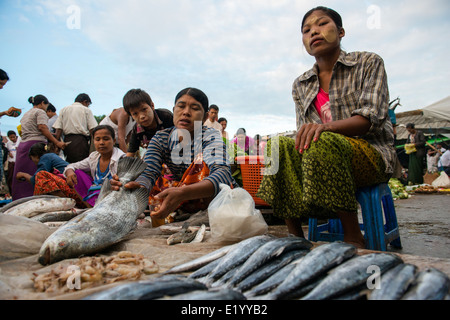 Le quartier animé de marché aux poissons de SIttwe, l'État de Rakhine. Banque D'Images