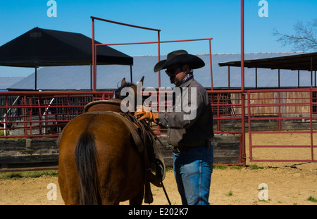 Dallas Texas cowboy Ranch Tate formation 2 ans pour mettre à la première selle sur eux pour la formation au ranch pour les casser Banque D'Images