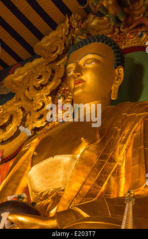 Katmandou Népal Bouddha d'or du monastère Drikung Kagyu Rinchenling. L'Est de Katmandou. Banque D'Images