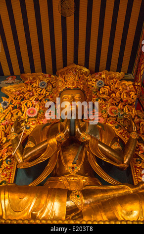 Katmandou Népal Bouddha d'or du monastère Drikung Kagyu Rinchenling. L'Est de Katmandou. Banque D'Images