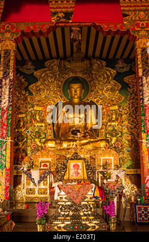 Katmandou Népal Bouddha d'or du monastère Drikung Kagyu Rinchenling. L'Est de Katmandou. Banque D'Images