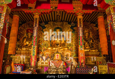 Katmandou Népal Bouddha d'or du monastère Drikung Kagyu Rinchenling. L'Est de Katmandou. Banque D'Images