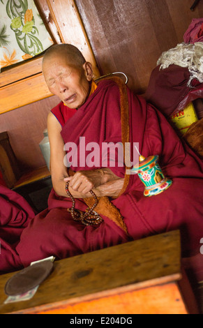 Le Népal Himalaya bouddhiste au monastère de Kharigandentenphelling dans le village de Thamo Everest 86 Mt de Solukhumbu Banque D'Images