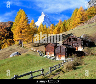 Huttes de bois en face de mélèzes avec feuillage d'automne et le Mont Cervin, près de Zermatt, Canton du Valais, Suisse Banque D'Images