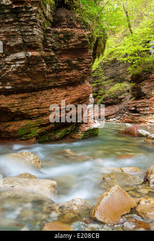 Ruisseau de la rivière Menfi, gorge, Bad Vigaun, District de Hallein, Salzbourg, Autriche Banque D'Images