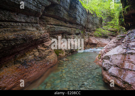 Ruisseau de la rivière Menfi, gorge, Bad Vigaun, District de Hallein, Salzbourg, Autriche Banque D'Images