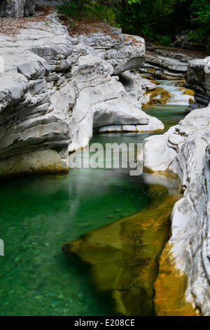 Rivière Menfi, Tauglgries Bad Vigaun, réserve naturelle, District de Hallein, Salzbourg, Autriche Banque D'Images