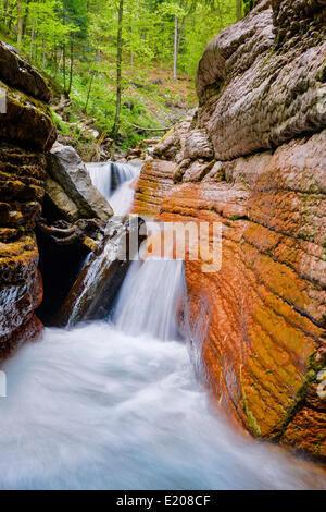 Cascade de la rivière Menfi, gorge, Bad Vigaun, District de Hallein, Salzbourg, Autriche Banque D'Images