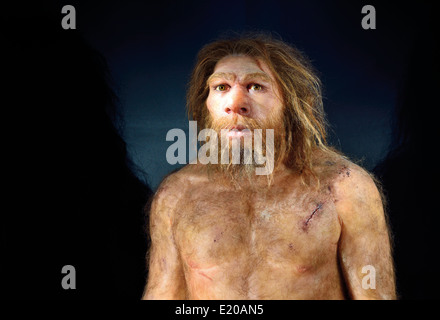 Espagne, Burgos : Homo neanderthalensis dans le Musée de l'évolution humaine Banque D'Images