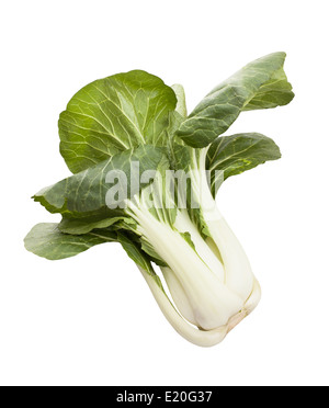 Choux chinois Bok choy isolated Banque D'Images