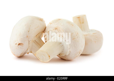 Trois champignons Banque D'Images