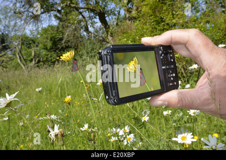 En utilisant un appareil photo compact Banque D'Images