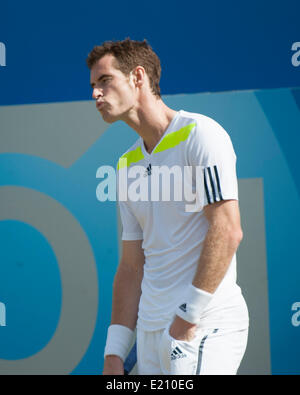 Londres, Royaume-Uni. 12 Juin, 2014. Andy Murray [FRA] réagit dans son match contre Radek Stepanek [CZE] au cours de la quatrième journée de l'Aegon Championships du Queens Club. Credit : Action Plus Sport Images/Alamy Live News Banque D'Images
