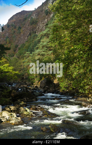 Glaslyn rivière qui traverse la vallée de style alpin. Snowdonia, Beddgelert, Gwynedd, Pays de Galles, Royaume-Uni. Banque D'Images