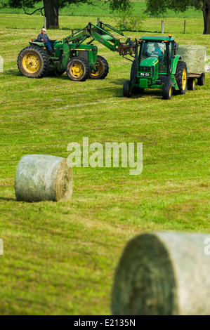 Farmer Chargement des bobines de foin en balles rondes sur un tracteur avec remorque à plateau Banque D'Images