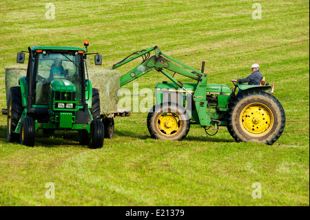 Farmer Chargement des bobines de foin en balles rondes sur un tracteur avec remorque à plateau Banque D'Images