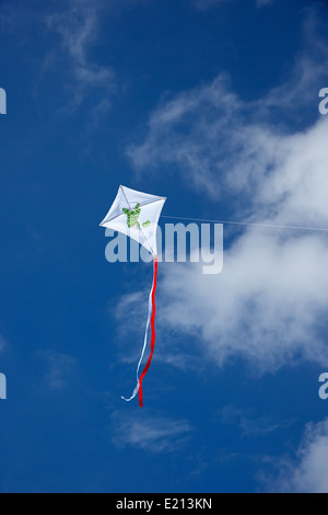 Childs avec kite flying frog design against blue sky Banque D'Images