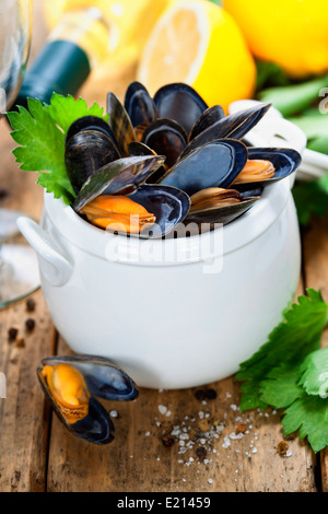 Les moules avec sauce au vin blanc dans un pot blanc Banque D'Images
