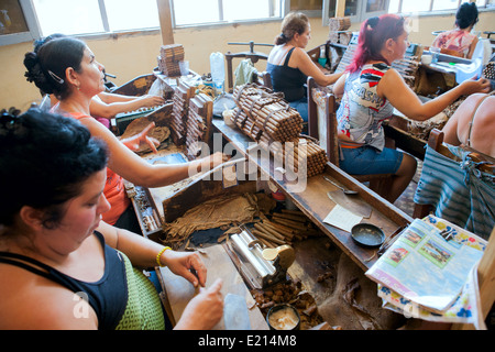 Les femmes cubaines faire cigares dans une usine. Banque D'Images