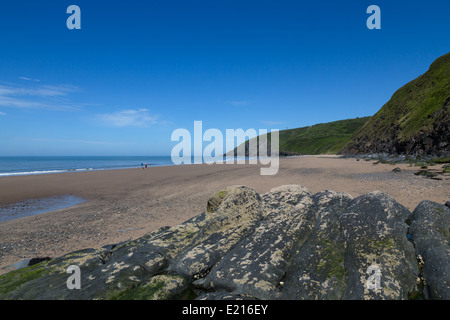 Le gallois primé à la plage sur la baie de Cardigan, Penbryn Ceredigion, sur le chemin de la côte du Pays de Galles Banque D'Images