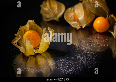 Physalis entières et tranchées sur fond humide noir Banque D'Images