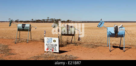 Tin Tin Horse chevaux sur la route dans l'ouest de l'Australie Banque D'Images