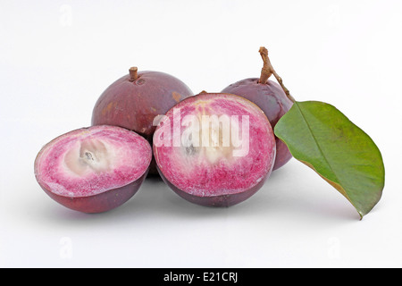 Chrysophyllum cainito ou Apple Star fruits isolé sur fond blanc Banque D'Images