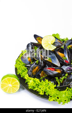Moules Banque D'Images