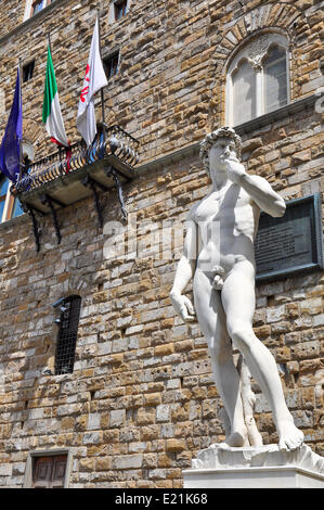 Statue de David Banque D'Images