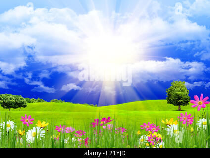 L'herbe verte et le ciel bleu Banque D'Images