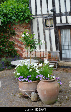 Chalet jardin en pots Banque D'Images