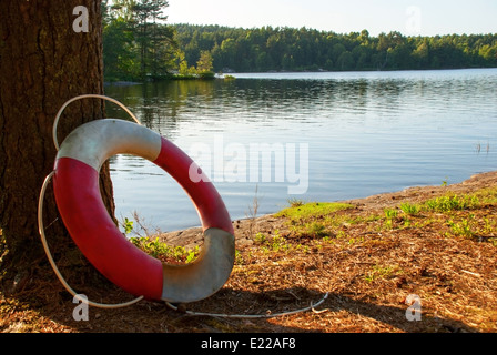 Gareautrain dans la nature sur un lac avec des arbres verts autour, l'été Banque D'Images