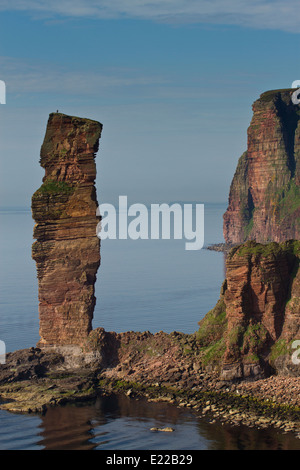 Les alpinistes haut de vieil homme de Hoy, pile la mer Îles Orkney Banque D'Images