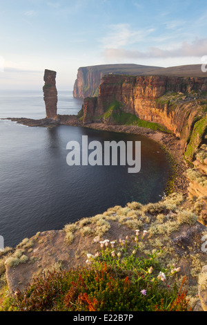 Vieil Homme de Hoy, îles Orkney Banque D'Images