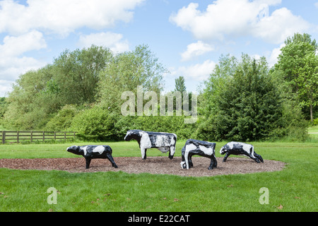 Milton Keynes' Vaches en béton sont devenus célèbres depuis qu'il a été sculpté par l'artiste canadien Liz Leyh en 1978. Banque D'Images