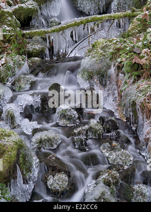 Petit cours d'eau d'alimentation saisonnière de glace. Columbia River Gorge National Scenic Area, New York Banque D'Images