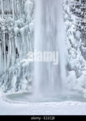 Close up de prêle Falls avec de la glace et de la neige. Columbia River Gorge National Scenic Area, New York Banque D'Images