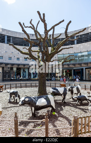 Milton Keynes' Vaches en béton sont devenus célèbres depuis qu'il a été sculpté par l'artiste canadien Liz Leyh en 1978. Banque D'Images