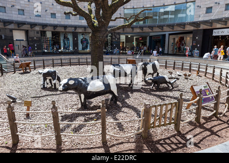 Milton Keynes' Vaches en béton sont devenus célèbres depuis qu'il a été sculpté par l'artiste canadien Liz Leyh en 1978. Banque D'Images