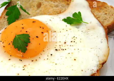 Close-up of a toast with fried egg et le persil sur une assiette blanche Banque D'Images