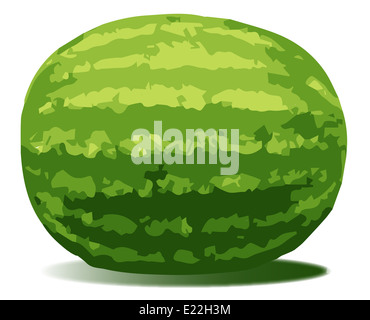 Une pastèque typique isolé sur fond blanc Banque D'Images