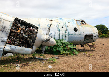 Épave d'un avion russe Antonov An26 à l'Aérodrome de perles, Grenville, Grenade, West Indies Banque D'Images