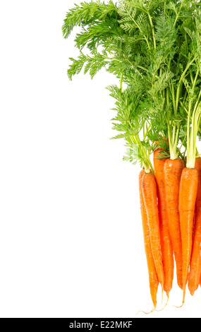 Les carottes avec feuilles vert isolé sur fond blanc. Légume. L'alimentation Banque D'Images