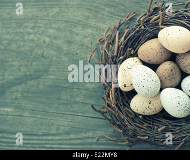 Les œufs des oiseaux dans leur nid sur fond de bois vintage style retro photo couleur. Banque D'Images