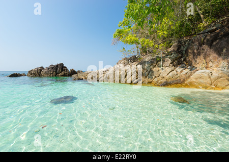 De superbes plages tropicales du parc national marin de Tarutao, Satun, le sud de la Thaïlande Banque D'Images